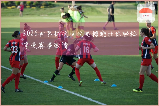 2026世界杯投注攻略揭晓让你轻松享受赛事激情