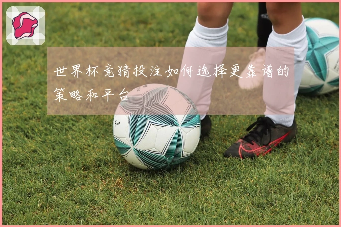 世界杯竞猜投注如何选择更靠谱的策略和平台