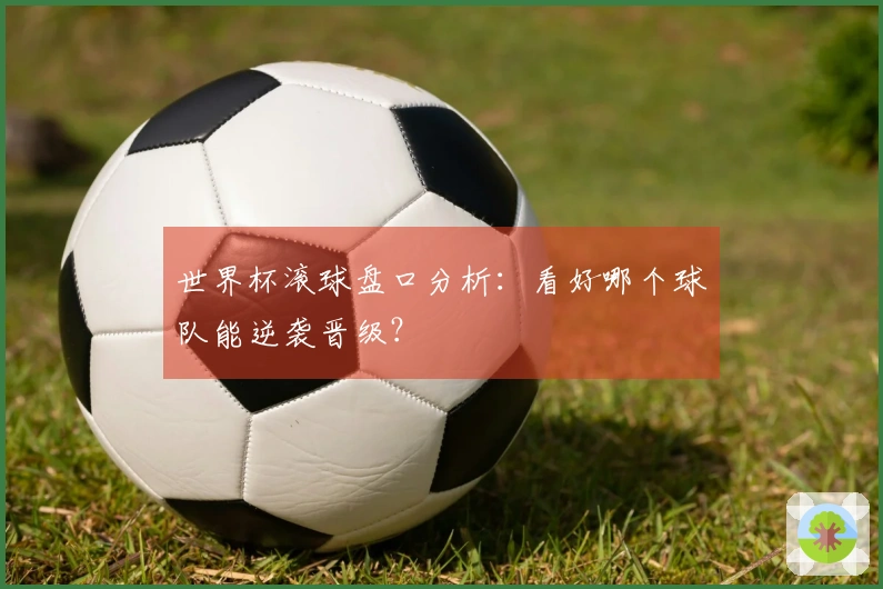 世界杯滚球盘口分析：看好哪个球队能逆袭晋级？