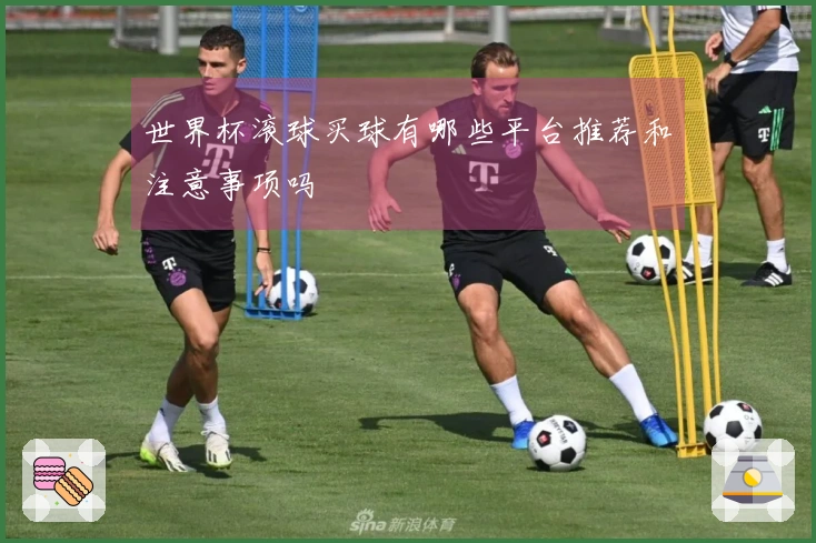 世界杯滚球买球有哪些平台推荐和注意事项吗